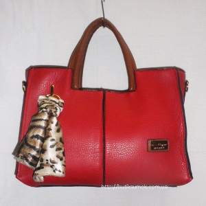 Женская сумка Salvatore Ferragamo Red